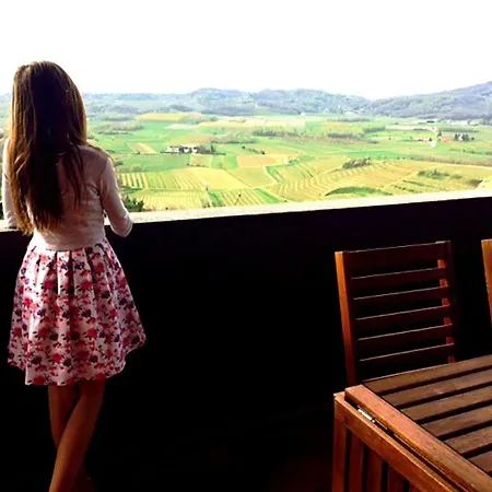 Apartma Sobe Pulec *