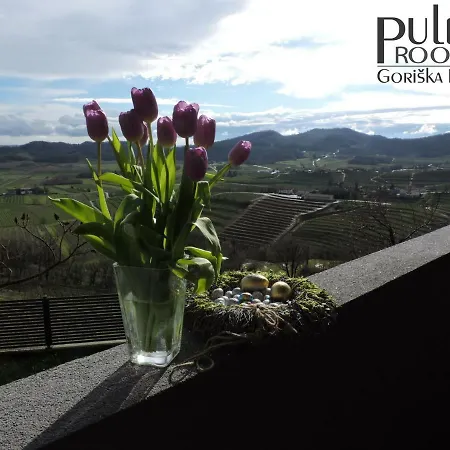 Apartma Sobe Pulec