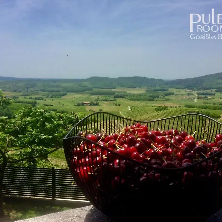 Apartma Sobe Pulec Apartma Dobrovo