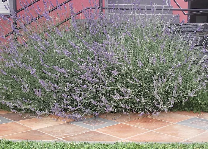 דירה Apartma Sobe Pulec דוברובו