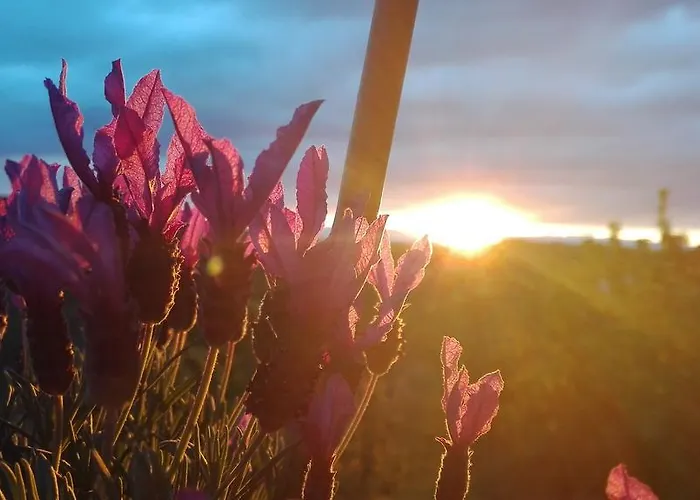 Apartma Sobe Pulec Διαμέρισμα