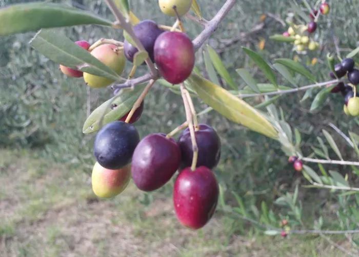 Apartma Sobe Pulec Διαμέρισμα *