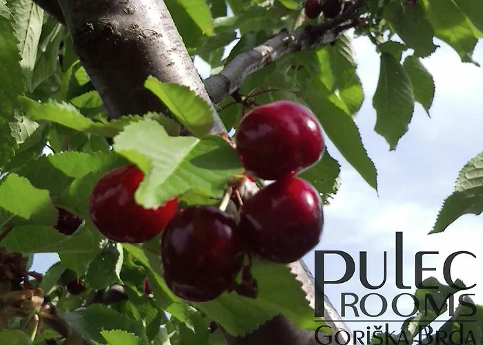 Apartma Sobe Pulec דירה *