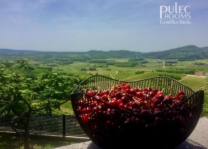 Apartma Sobe Pulec Apartma Dobrovo